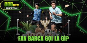 Fan Barca Gọi Là Gì