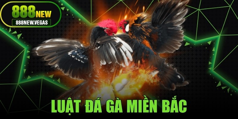 Luật Đá Gà Miền Bắc