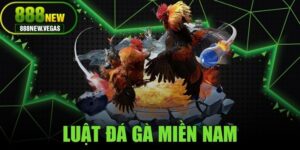 Luật Đá Gà Miền Nam