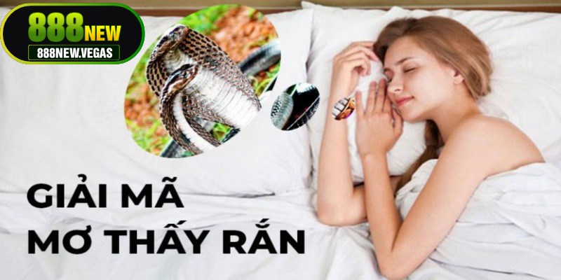 Mơ thấy rắn thường được giải mã theo nhiều chiều hướng 